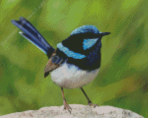 Fairy Wren Bird Diamond Painting