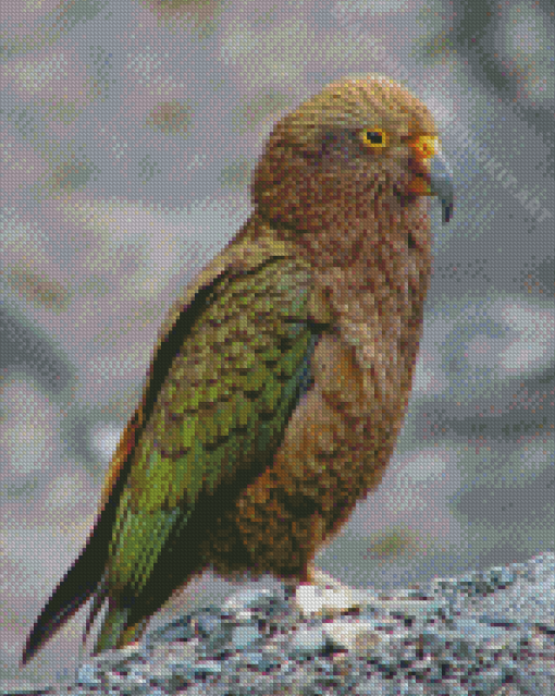 Aesthetic Kea Diamond Painting