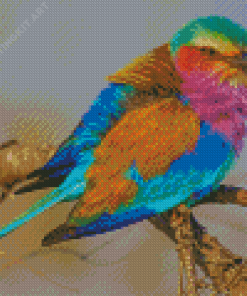 Lilac Breasted Roller Diamond Painting