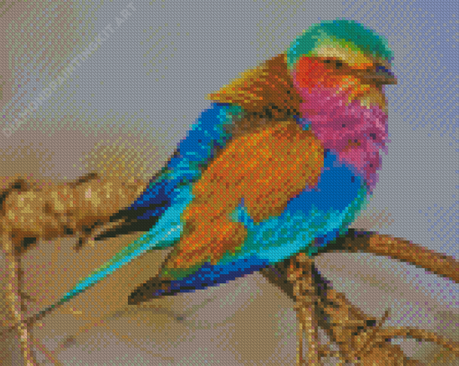 Lilac Breasted Roller Diamond Painting