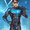 Aesthetic Nightwing Diamond Painting