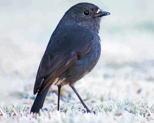 South Island Robin Diamond Painting