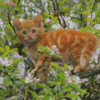 Tree Kitten Diamond Painting