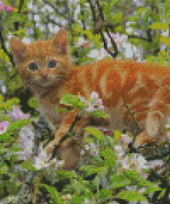 Tree Kitten Diamond Painting