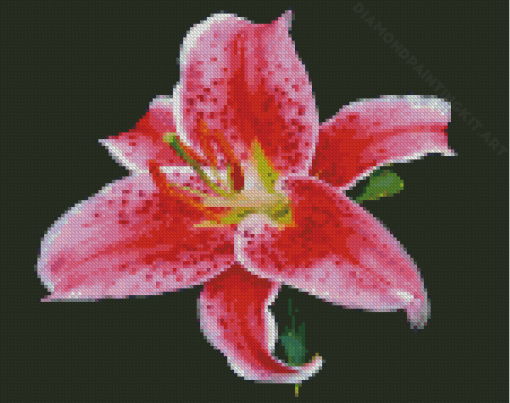 Stargazer Lily Diamond Painting