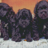 Yorkipoo Puppies Diamond Painting