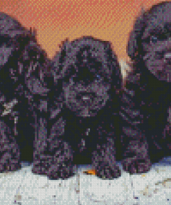 Yorkipoo Puppies Diamond Painting