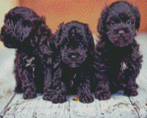 Yorkipoo Puppies Diamond Painting