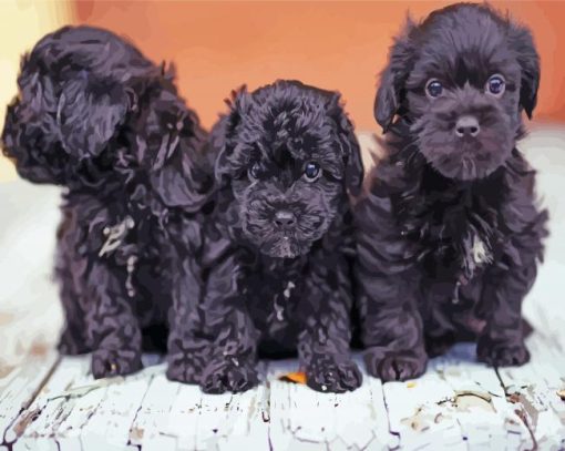 Yorkipoo Puppies Diamond Painting