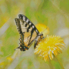 Butterfly On Dandelion Diamond Painting