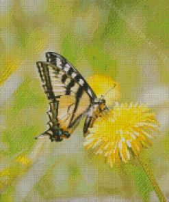 Butterfly On Dandelion Diamond Painting