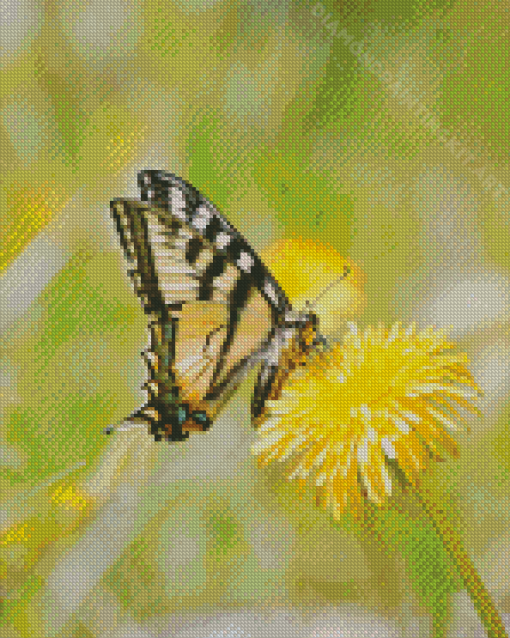 Butterfly On Dandelion Diamond Painting