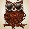 Coffee Bean Owl Diamond Painting