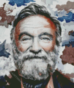 Robin Williams Diamond Painting