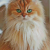 Fluffy Cat Diamond Painting