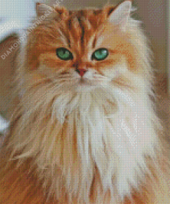 Fluffy Cat Diamond Painting