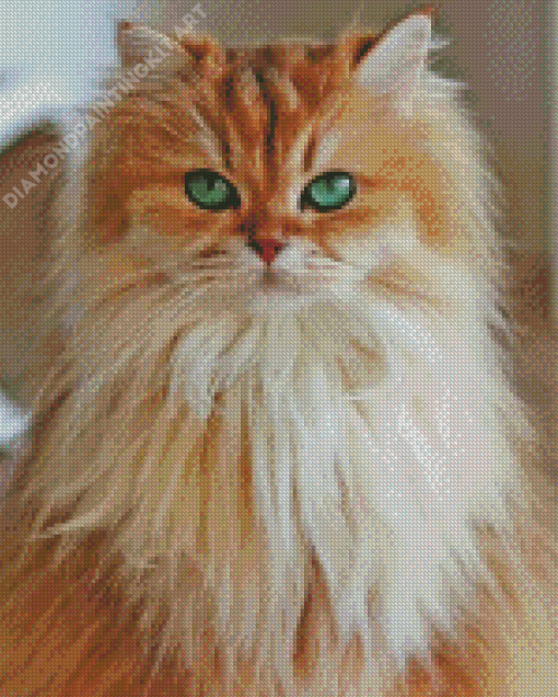 Fluffy Cat Diamond Painting