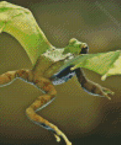 Frog With Wings Diamond Painting