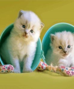 Kittens In Cup Diamond Painting