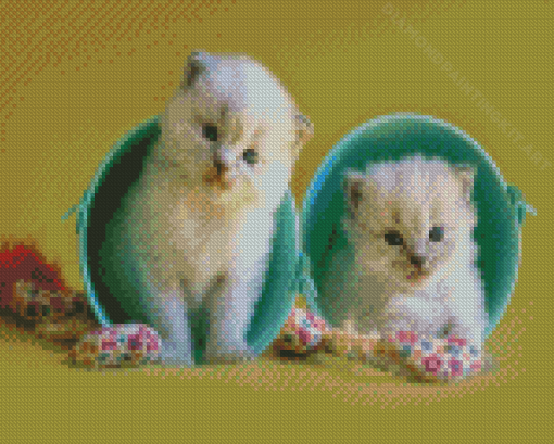 Kittens In Cup Diamond Painting