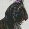 Maltese Shih Tzu Diamond Painting