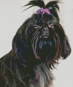 Maltese Shih Tzu Diamond Painting