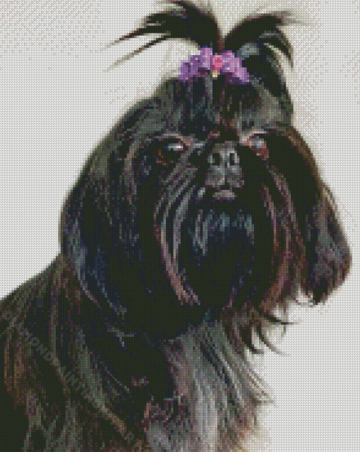 Maltese Shih Tzu Diamond Painting