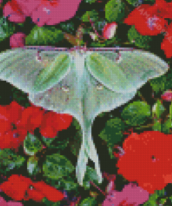 Moon Moth Diamond Painting