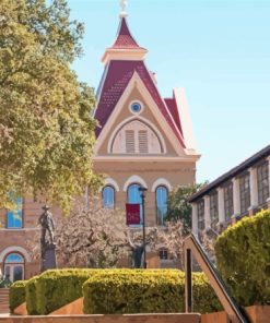 Texas State University Diamond Painting