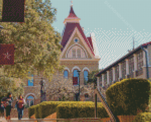 Texas State University Diamond Painting