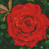 Red Flower Diamond Painting