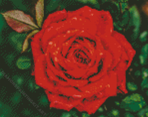 Red Flower Diamond Painting