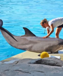 Woman And Dolphin Diamond Painting