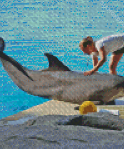 Woman And Dolphin Diamond Painting