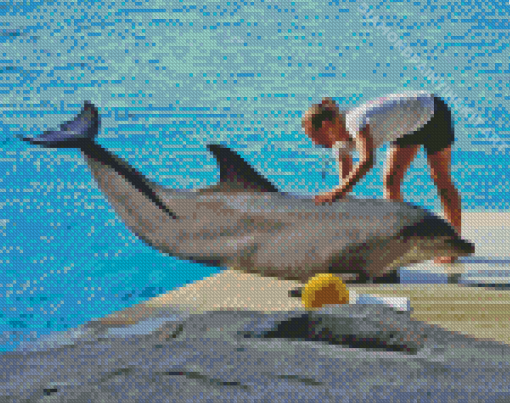 Woman And Dolphin Diamond Painting