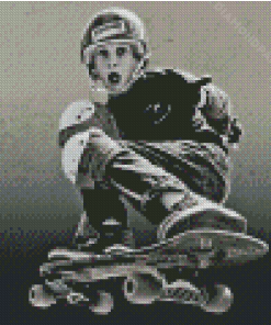 Tony Hawk Diamond Painting