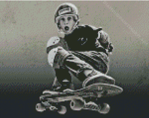 Tony Hawk Diamond Painting