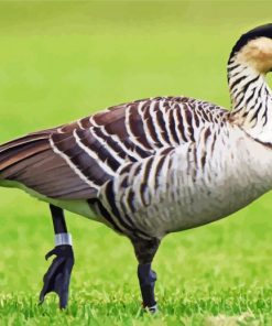 Nene Goose Diamond Painting