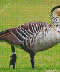 Nene Goose Diamond Painting