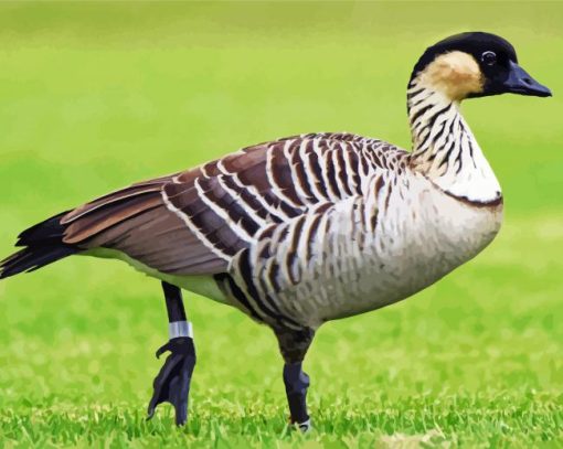 Nene Goose Diamond Painting