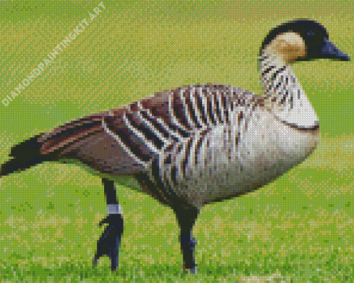 Nene Goose Diamond Painting