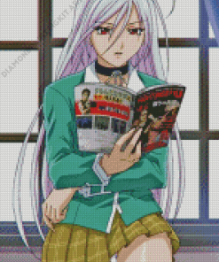 Rosario Vampire Diamond Painting