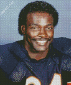 Aesthetic Walter Payton Diamond Painting