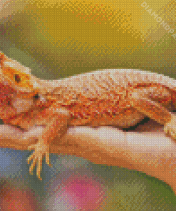 Bearded Dragon Diamond Painting