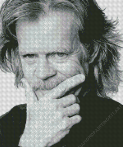 William H Macy Diamond Painting