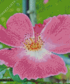 Cherokee Rose Diamond Painting