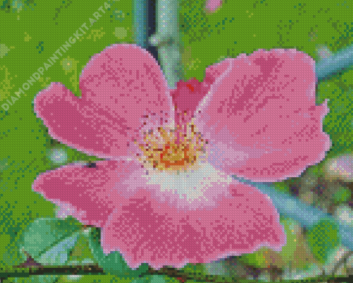 Cherokee Rose Diamond Painting