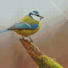 Blue Tit Bird Diamond Painting