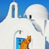 Cat In Greece Diamond Painting