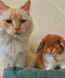 Cat And Bunny Diamond Painting